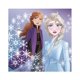 thumbnail image 1 of Servilletas de almuerzo únicas de Disney Frozen 2, paquete de 16, 1 of 2