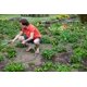 thumbnail image 3 of Manguera de Jardín Expandible Rosy Earth de Acero Inoxidable 304 de 22 m, 3 of 6