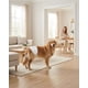 thumbnail image 4 of Pañales Desechables Perro Macho PETSHOW Talla M x 24 Unidades, 4 of 6