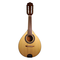 Mandolina 10 Cuerdas M10-Stg Bilbao