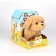 thumbnail image 1 of JUGUETE MASCOTA PLUSH PET-CACHORRITO, 1 of 2