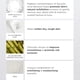 thumbnail image 3 of Crema Para Pies Aha+ Para Talones Y Pies Secos Y Agrietados 50 Ml, 3 of 6