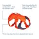 thumbnail image 5 of Ruffwear Web Master – Arnés para perro talla pequeña, naranja brillante, 5 of 9