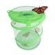 thumbnail image 2 of Kit de cultivo de mariposas Nature Bound con Live Caterpillar Kids, 2 of 5