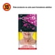thumbnail image 1 of Cigarros Neo Rose, 20 Un, 1 of 1