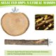 thumbnail image 2 of Perchas de madera natural de 8 piezas para periquitos, 2 of 3