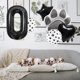 thumbnail image 3 of Set de globos Antwhale para decoración de fiesta con huellas de pata de mascota, 3 of 4