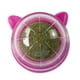thumbnail image 2 of Catnip Ball Toys Juguete Para La Dentición Snack Pet Ventanas Francesas Con Tapa Chew Cat Toy Estilo E, 2 of 5