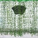 thumbnail image 2 of suxuMhao Plantas Artificiales, Guirnalda de Hiedra Artificial Enredaderas de Hiedra Falsas Plantas Colgantes Falsas Enredaderas con 36 Hojas de Enredadera de Begonia Artificial, 2.5yd Unidad, 3, 2 of 5