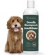 thumbnail image 1 of Champú y acondicionador Freshly Bailey Doodle 473 ml, 1 of 7