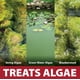 thumbnail image 3 of Algicida Pond Logic InstaFix 946 ml registrado por la EPA, 3 of 7