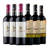 Azimut - Caja X 6 Mix Vinos Reserva Mundano Y
