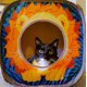 thumbnail image 5 of Cat Cube Kitty City Safari Jungle, escondite desplegable y cubo de juego, 5 of 6