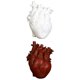 thumbnail image 4 of 2 Jarrones Anatómicos Con Forma De Corazón, Estatua De Resina, Adorno Para Maceta, 4 of 4
