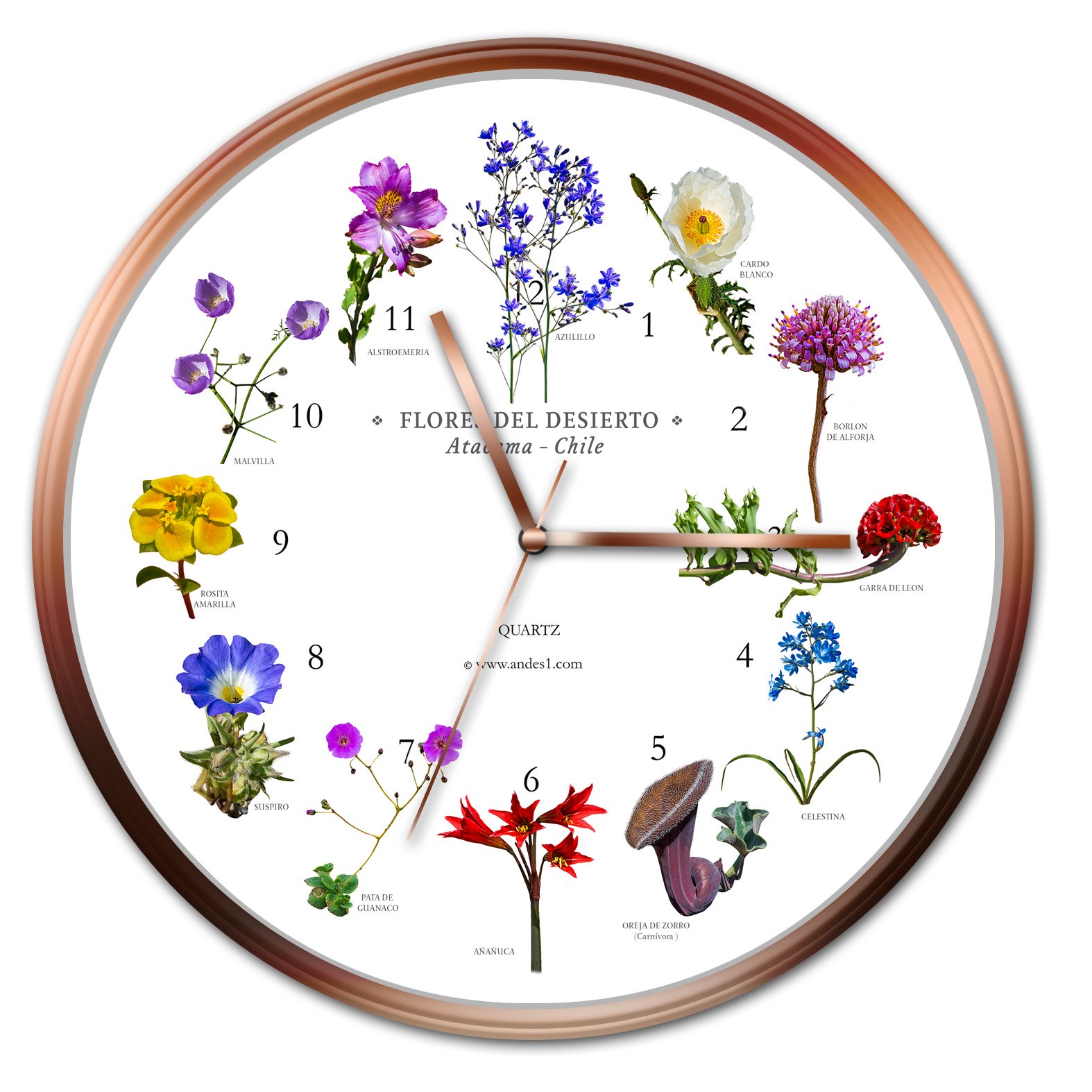 Andes1 - Reloj De Flores