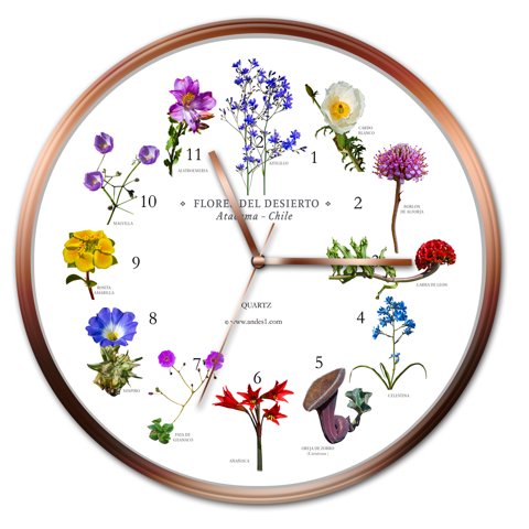 Andes1 - Reloj De Flores