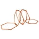 thumbnail image 1 of Escalera Agilidad Hexagonal, 1 of 2