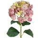 thumbnail image 2 of Hortensia Rosa Amarillo Con Hojas 82cm, 2 of 3