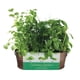 thumbnail image 1 of Kit De Cultivo Jardín Culinario De Cobre Con Albahaca Cilantro Y Cebollín, 1 of 6