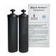 thumbnail image 1 of Filtro de agua Berkey Black Berkey Elements BB9-2 (juego de 2), 1 of 4