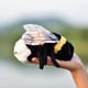 thumbnail image 4 of Muñeca de peluche TAMMYFLYFLY Soft Bee, 17 cm, 4 of 5