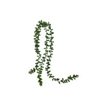 Corel - Suculenta Rosario 48Cm Con Detalles Increíbles