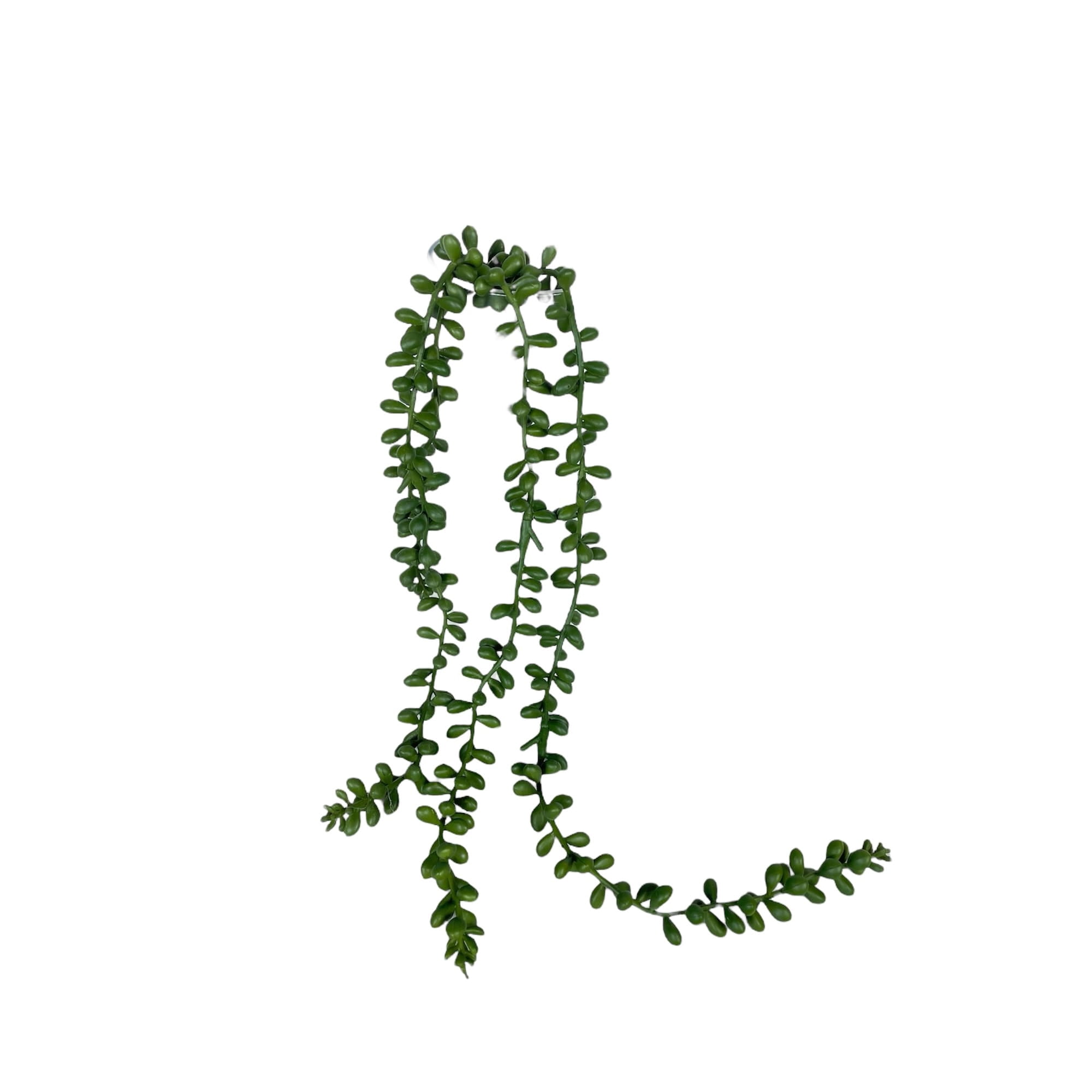 Corel - Suculenta Rosario 48cm Con Detalles Increíbles