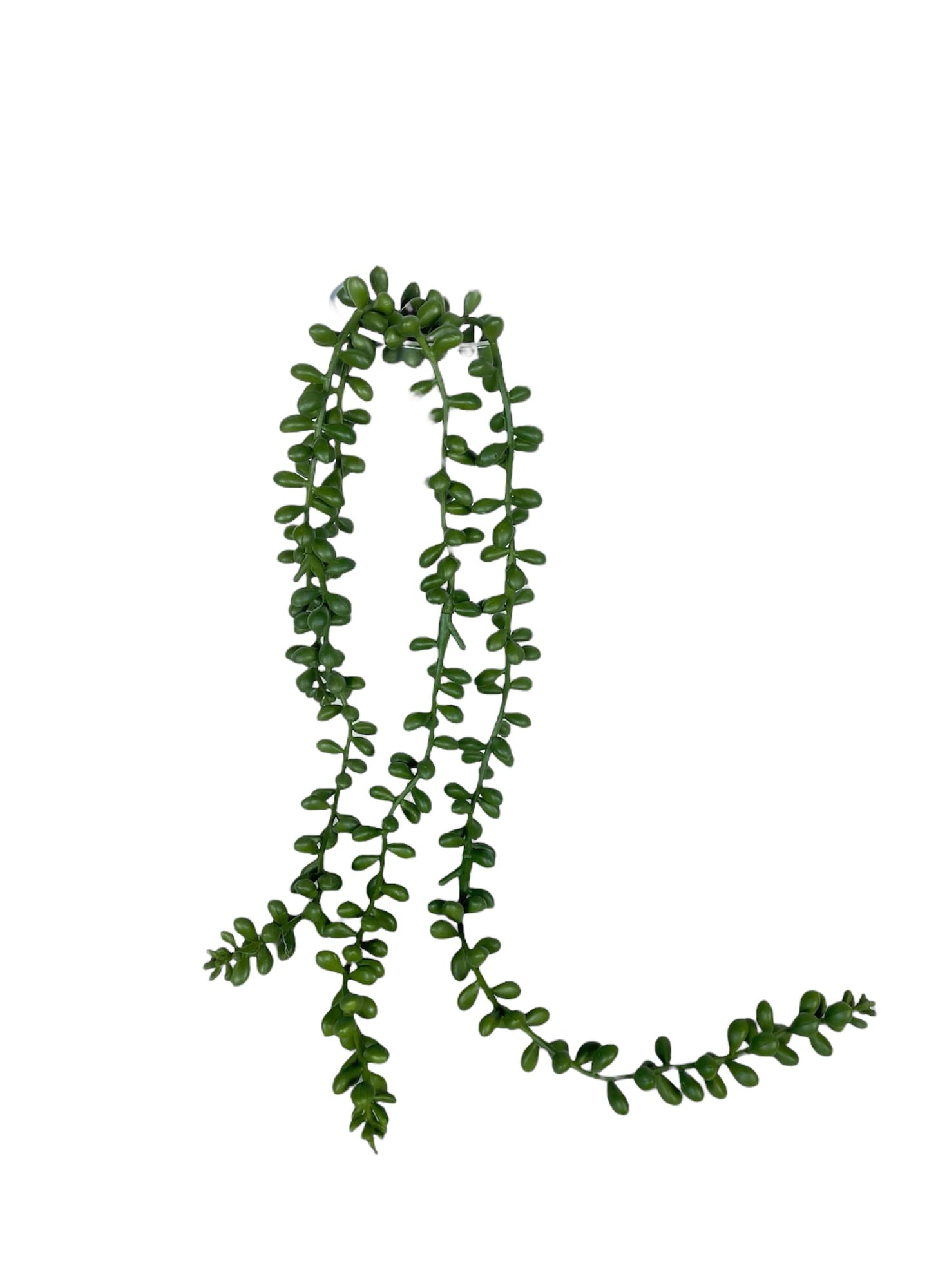 Corel - Suculenta Rosario 48Cm Con Detalles Increíbles