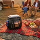 thumbnail image 2 of Bolsa Térmica para Camping Koolatron D25 AZ 24,5L Negra 110V, 2 of 8