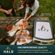 thumbnail image 5 of Horno para pizza HALO Versa 16 con piedra giratoria de 16 pulgadas, 5 of 8