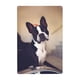 thumbnail image 1 of Boston Terrier Cartel de metal, decoración de pared con cartel de metal personalizado, regalos para aficionados, amigos, familia y seres queridos 30x20 cm, 1 of 6