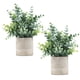 thumbnail image 1 of Cobertura de plantas artificiales de eucalipto en maceta de 9,45 pulgadas, paquete de 2, 1 of 7