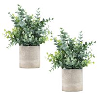 Coferset - Cobertura De Plantas Artificiales De Eucalipto En Maceta De 9,45 Pulgadas, Paquete De 2