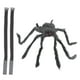 thumbnail image 2 of Simulación Spider Pets Outfits Funny Black Spider Dog Disfraz Para Kitten Cat XS, 2 of 3