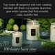 thumbnail image 5 of Vela Voluspa White Cypress, 532 ml, 100 h de duración, 5 of 6