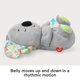 thumbnail image 3 of Juguete de bebé Fisher-Price Soothe ‘n Snuggle Koala, 3 of 7