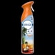 thumbnail image 1 of Desodorante Ambiental Febreze des ambiental hawaiin aloha Lata, 230 g, 1 of 1