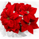 thumbnail image 2 of 5 Flores Navideñas Adornos Navideños Decoracion Arbol Navida, 2 of 3