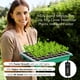 thumbnail image 2 of Kit De Inicio De Semillas Con Bandeja De 40 Celdas Y Luces De Cultivo, 2 of 6