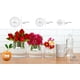 thumbnail image 5 of Jarrones de flores Royal Imports con cilindros acrílicos, 3 unidades, transparentes, 5 of 6