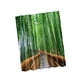 thumbnail image 1 of 180x180cm De Poliéster Impermeable Baño Cortina De Ducha Panel De La Decoración W / Hook 5, 1 of 3