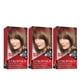 thumbnail image 1 of Tinte para el cabello Revlon Colorsilk 50, marrón ceniza claro, 130 ml (x3), 1 of 2