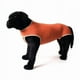 thumbnail image 4 of Body Castracion Unisex Con Cobre - Perro / Gato - Talla 7 (13 a 17kg), 4 of 4