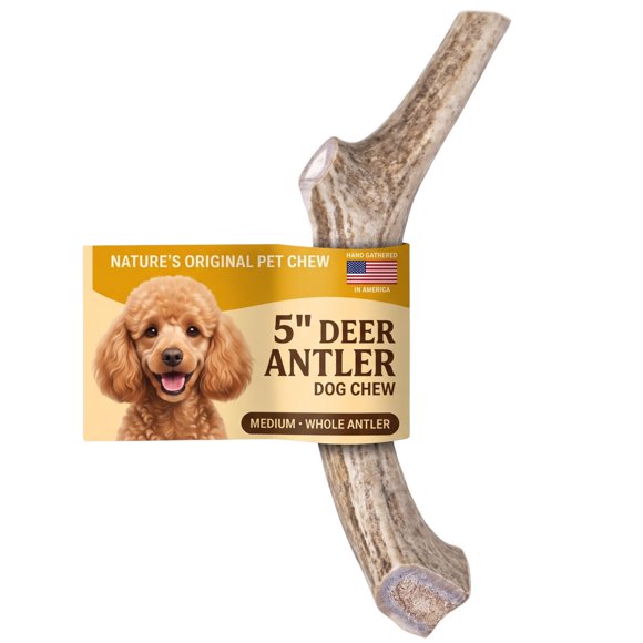 Cuerno de ciervo para perro Mountain Valley Antlers 13 cm Mediano (1 unidad)