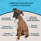 thumbnail image 2 of Animal Essentials Colon Rescue - Ayuda Digestiva para Mascotas 30 ml, 2 of 8