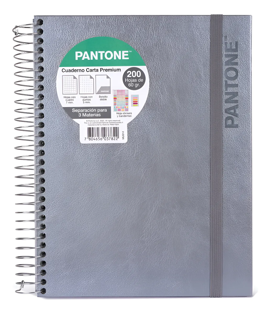 Cuaderno Premium Pantone Metalizado Carta Con Elástico 7Mm Plateado