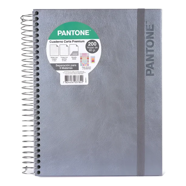Cuaderno Premium Pantone Metalizado Carta Con Elástico 7mm Plateado