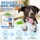 thumbnail image 5 of Polvo Dental Para Perros Para Limpieza De Dientes Sarro Y Placa, 5 of 6