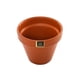thumbnail image 3 of Macetero Kony Terracota 11 cm, 3 of 6