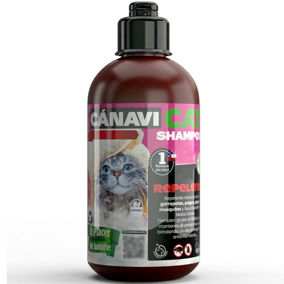 Shampoo Eucaliptus Menta Aceite Esencial